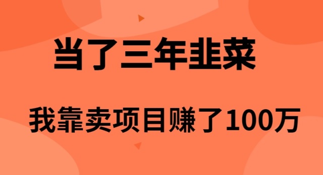 （10149期）当了3年韭菜，我靠卖项目赚了100万-云帆学社