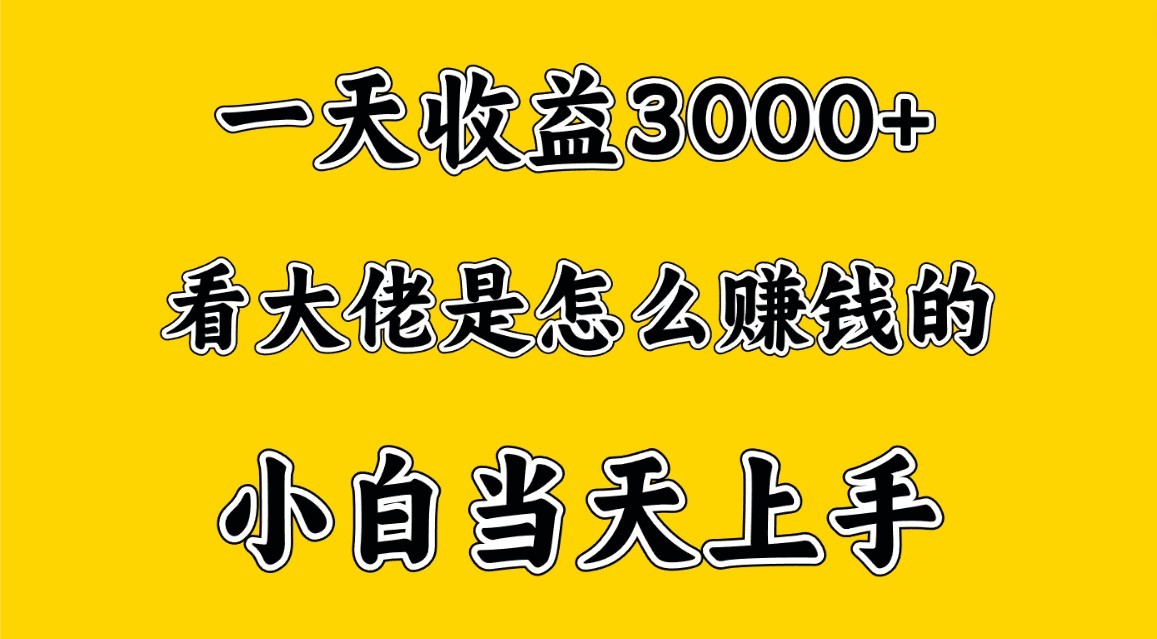 一天赚3000多，大佬是这样赚到钱的，小白当天上手，穷人翻身项目-云帆学社