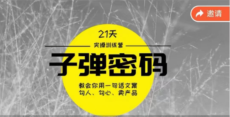 《子弹密码训练营》用一句话文案勾人勾心卖产品，21天学到顶尖文案大师策略和技巧-云帆学社