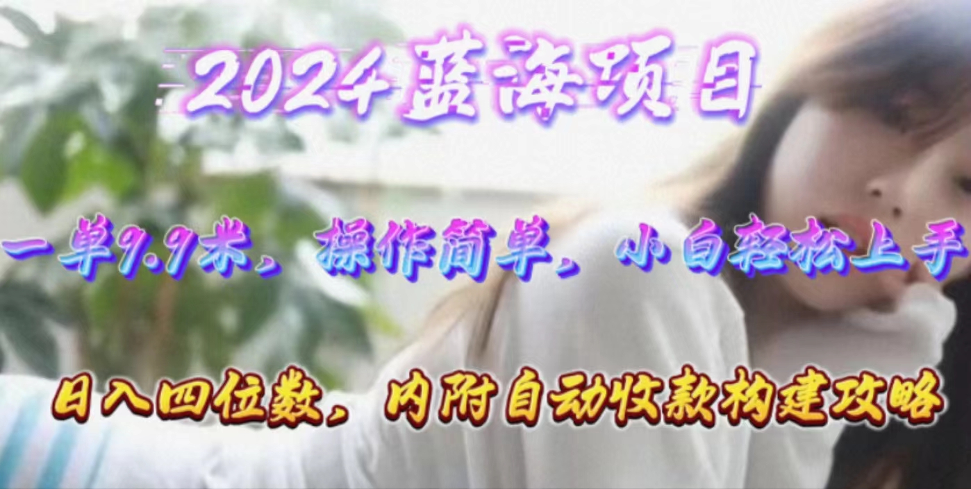 （10204期）年轻群体的蓝海市场，1单9.9元，操作简单，小白轻松上手，日入四位数-云帆学社