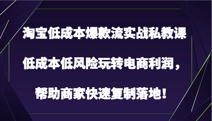 淘宝低成本爆款流实战私教课，低成本低风险玩转电商利润，帮助商家快速复制落地！-云帆学社