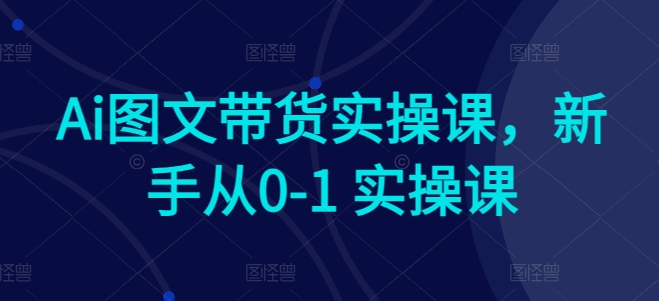 Ai图文带货实操课，新手从0-1 实操课-云帆学社