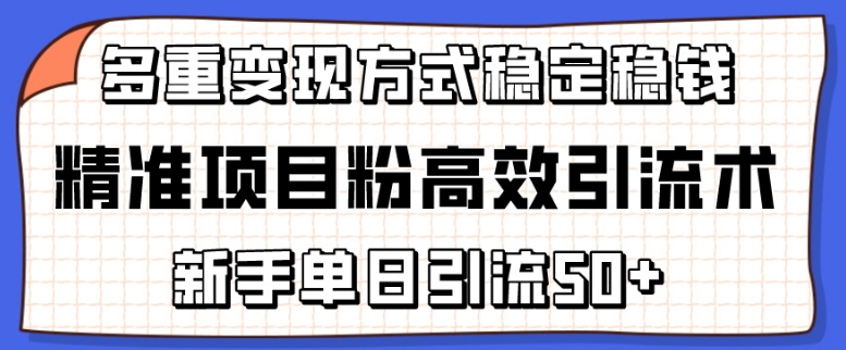 精准项目粉高效引流术，新手单日引流50+，多重变现方式稳定赚钱-云帆学社