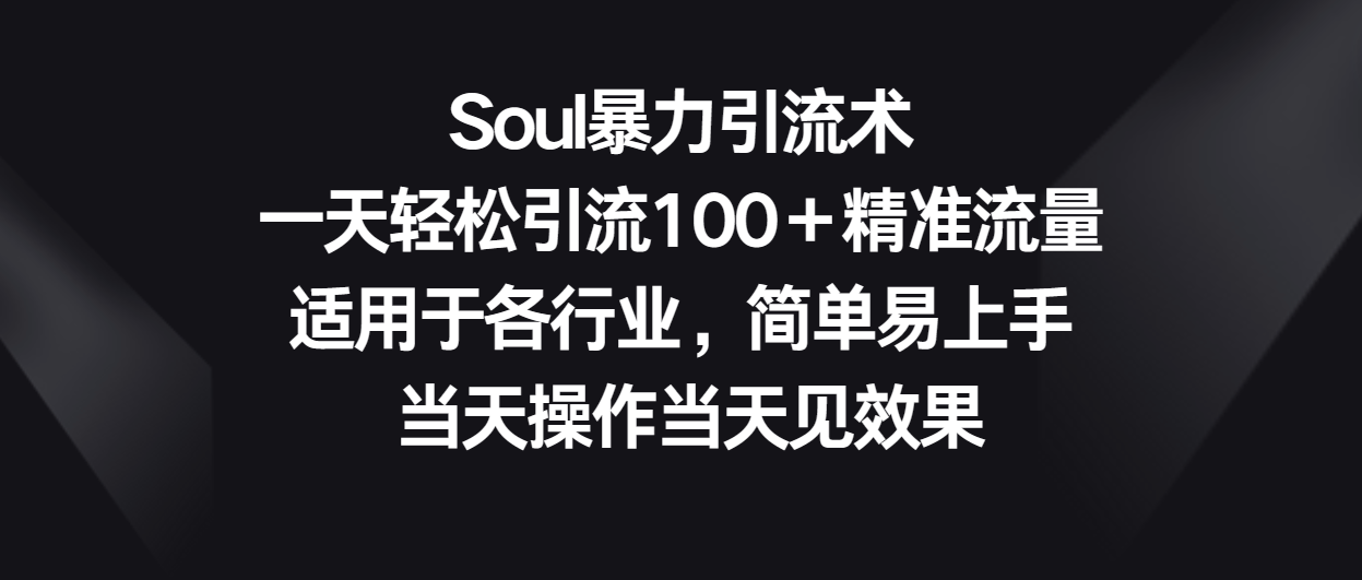 Soul暴力引流术，一天轻松引流100＋精准流量，适用于各行业，简单易上手！-云帆学社