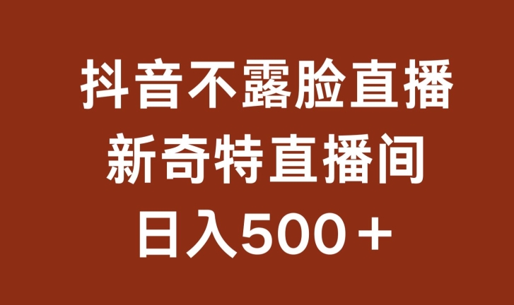 不露脸挂机直播，新奇特直播间，日入500+-云帆学社