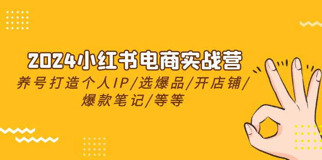 （10375期）2024小红书电商实战营，养号打造IP/选爆品/开店铺/爆款笔记/等等（24节）-云帆学社