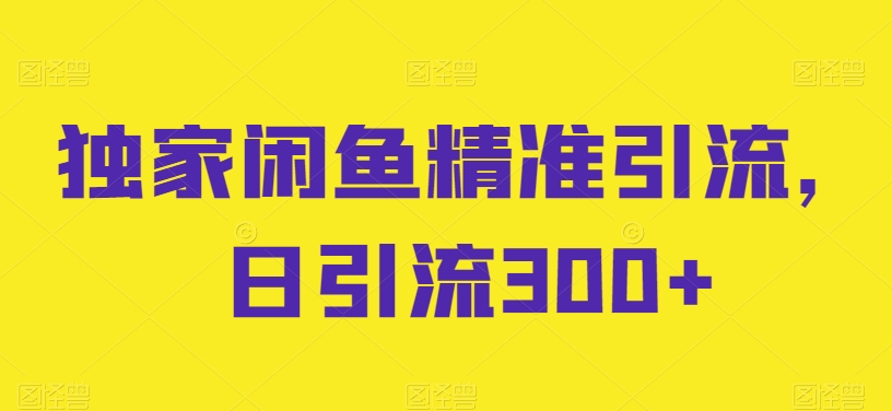 独家闲鱼精准引流，日引流300+-云帆学社