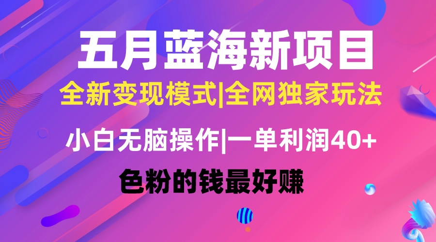 （10477期）五月蓝海项目全新玩法，小白无脑操作，一天几分钟，矩阵操作，月入4万+-云帆学社