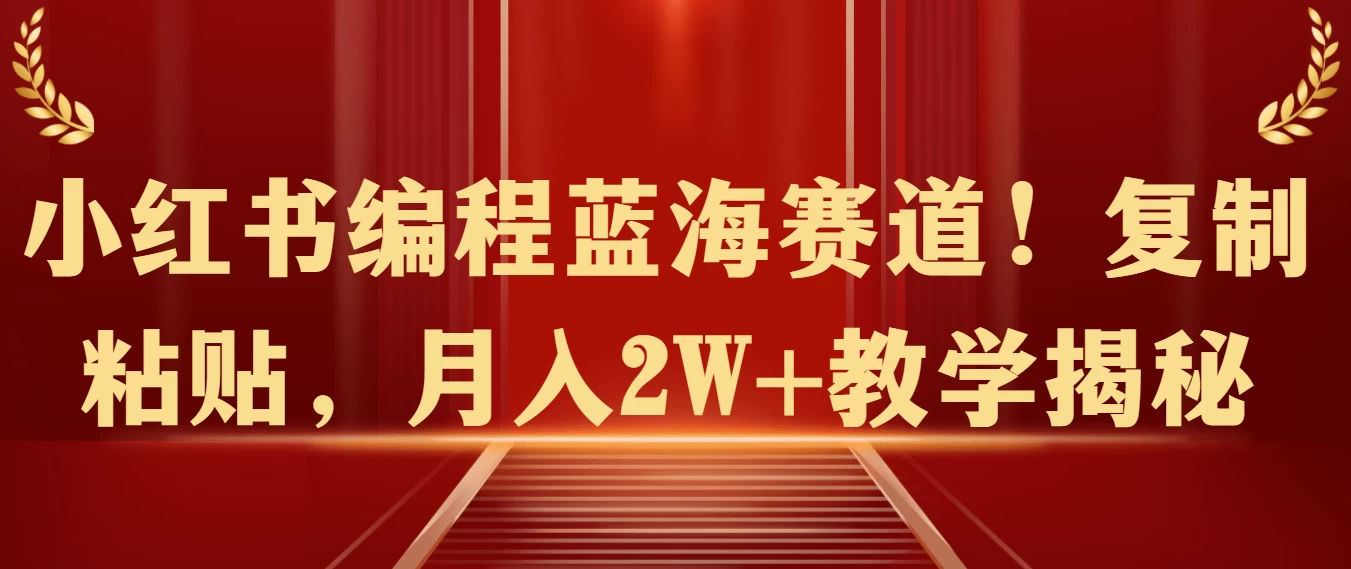 小红书编程蓝海赛道！复制粘贴，月入2W+教学揭秘-云帆学社