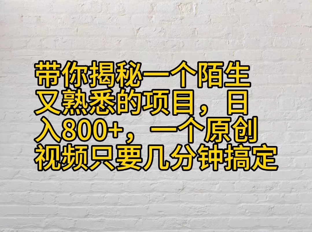 带你揭秘一个陌生又熟悉的项目，日入800+，一个原创视频只要几分钟搞定-云帆学社