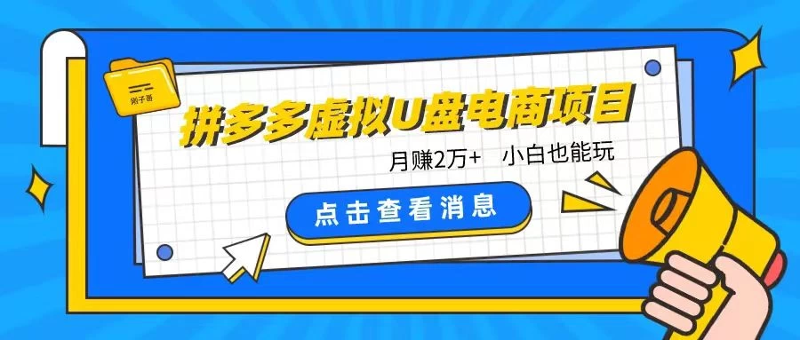 拼多多虚拟U盘电商红利项目：月赚2万+，新手小白也能玩-云帆学社