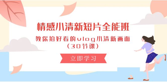 （10567期）情感 小清新短片-全能班，教你拍好看的vlog小清新画面 (30节课)-云帆学社