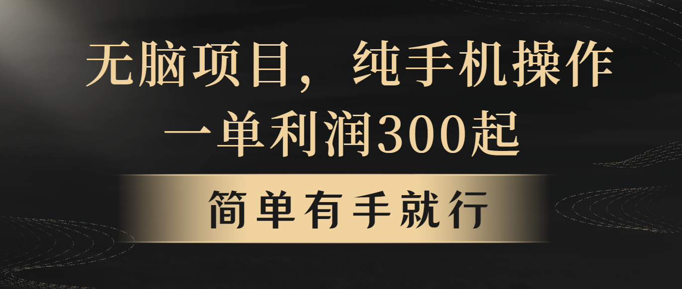 （10589期）无脑项目，一单几百块，轻松月入5w+，看完就能直接操作-云帆学社