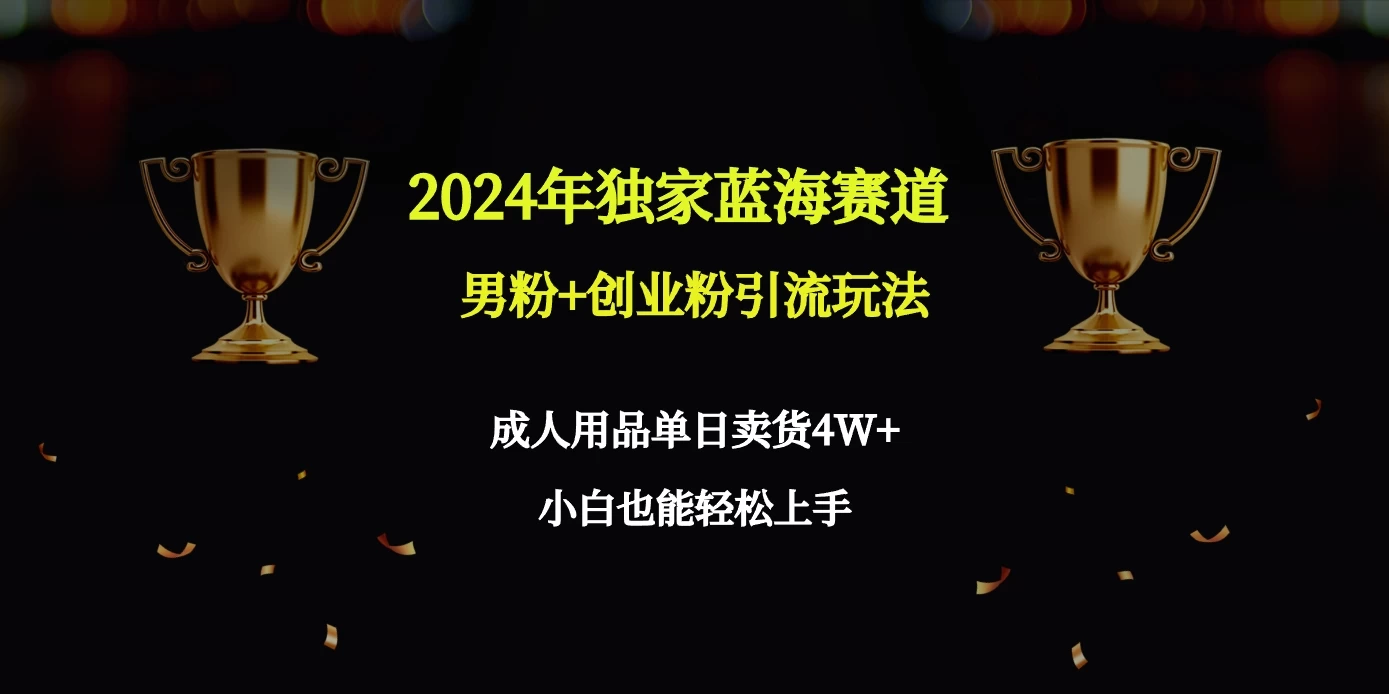 2024独家蓝海赛道，男粉＋创业粉引流玩法。-云帆学社