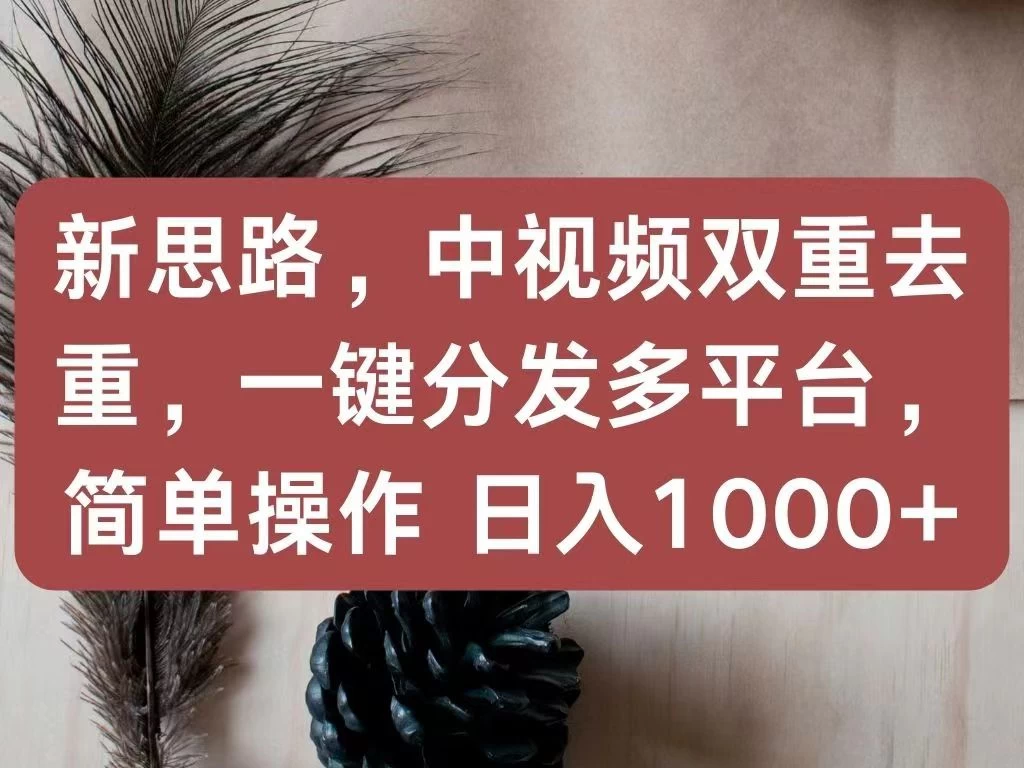 新思路，中视频双重去重，一键分发多平台，简单操作，日入1000+！快来试试吧！-云帆学社