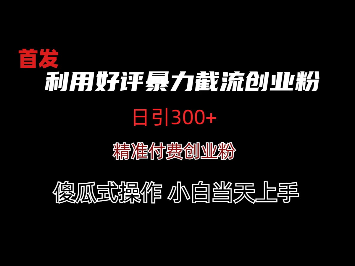 利用好评暴力截流付费创业粉，无需工具，简单且暴力的一个玩法-云帆学社