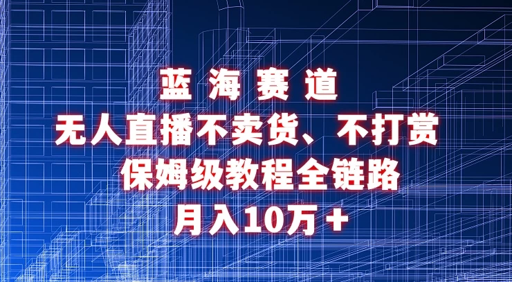 无人直播不卖货、不打赏保姆级教程全链路 月入10万＋-云帆学社