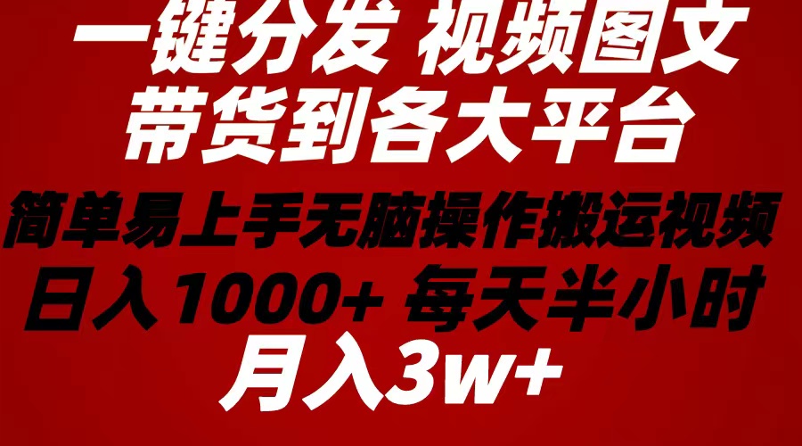 （10667期）2024年 一键分发带货图文视频  简单易上手 无脑赚收益 每天半小时日入1…-云帆学社