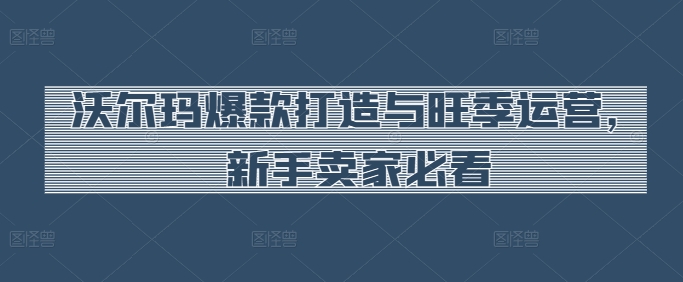 沃尔玛爆款打造与旺季运营，新手卖家必看-云帆学社