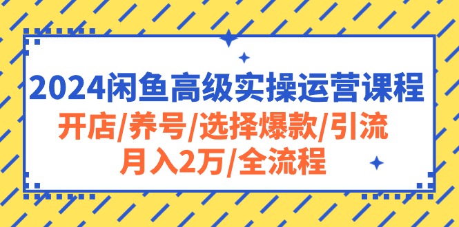 （10711期）2024闲鱼高级实操运营课程：开店/养号/选择爆款/引流/月入2万/全流程-云帆学社