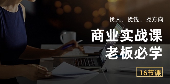 商业实战课【老板必学】：找人、找钱、找方向（16节课）-云帆学社