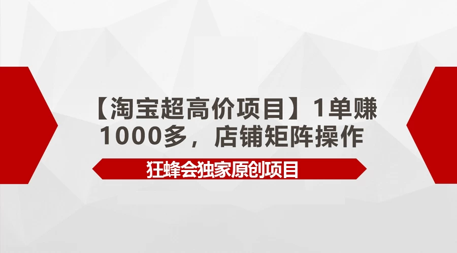 淘宝超高价项目，1单赚1000多，店铺矩阵操作-云帆学社