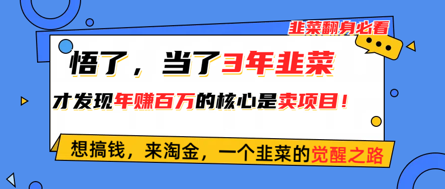 （10759期）悟了，当了3年韭菜，才发现网赚圈年赚100万的核心是卖项目，含泪分享！-云帆学社