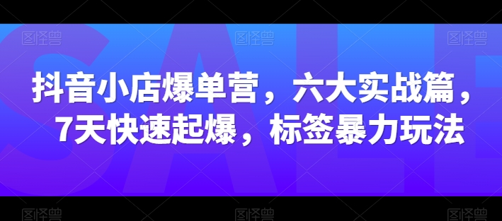 抖音小店爆单营，六大实战篇，7天快速起爆，标签暴力玩法-云帆学社