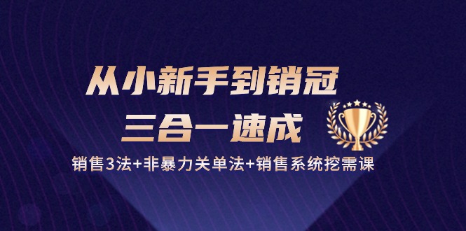 （10799期）从小新手到销冠 三合一速成：销售3法+非暴力关单法+销售系统挖需课 (27节)-云帆学社