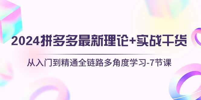 （10816期）2024拼多多 最新理论+实战干货，从入门到精通全链路多角度学习-7节课-云帆学社