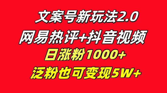 文案号新玩法，网易热评+抖音文案 一周轻松涨粉 5W+ 多种变现模式-云帆学社