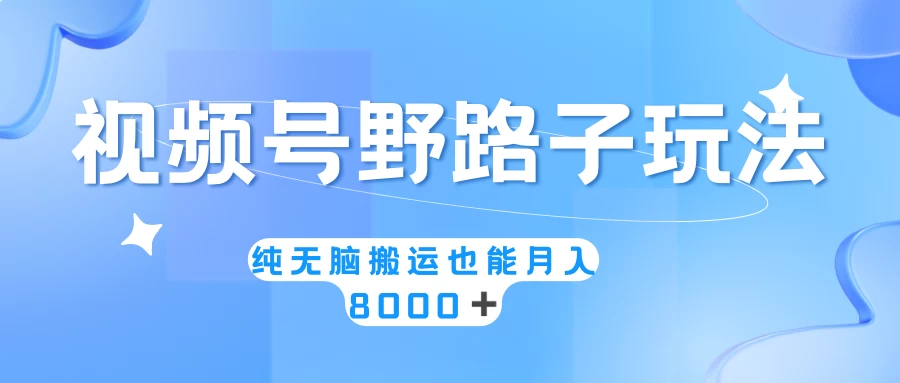 视频号野路子玩法，纯无脑搬运小白可做，月入8000+-云帆学社