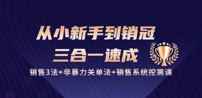 从小新手到销冠 三合一速成：销售3法+非暴力关单法+销售系统挖需课 (27节)-云帆学社