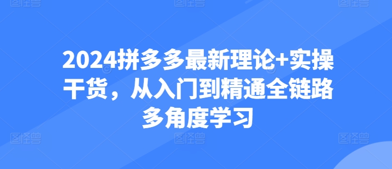 2024拼多多最新理论+实操干货，从入门到精通全链路多角度学习-云帆学社