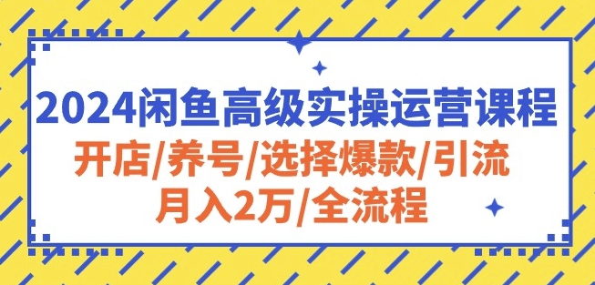 2024闲鱼高级实操运营课程：开店/养号/选择爆款/引流/月入2万/全流程-云帆学社