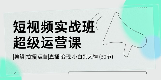 （10836期）短视频实战班-超级运营课，|剪辑|拍摄|运营|直播|变现 小白到大神 (30节)-云帆学社