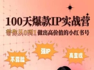 小红书100天爆款IP实战营，带你从0到1做出高价值的小红书号-云帆学社