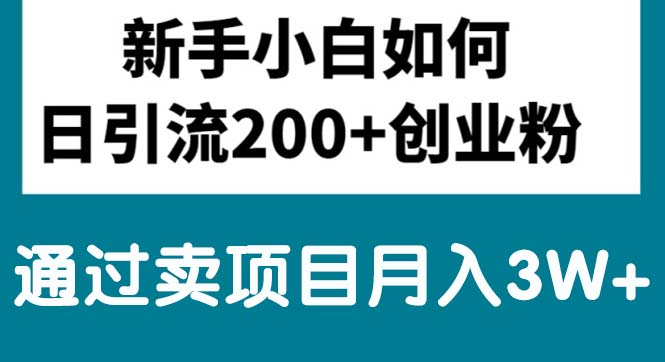 （10843期）新手小白日引流200+创业粉,通过卖项目月入3W+-云帆学社