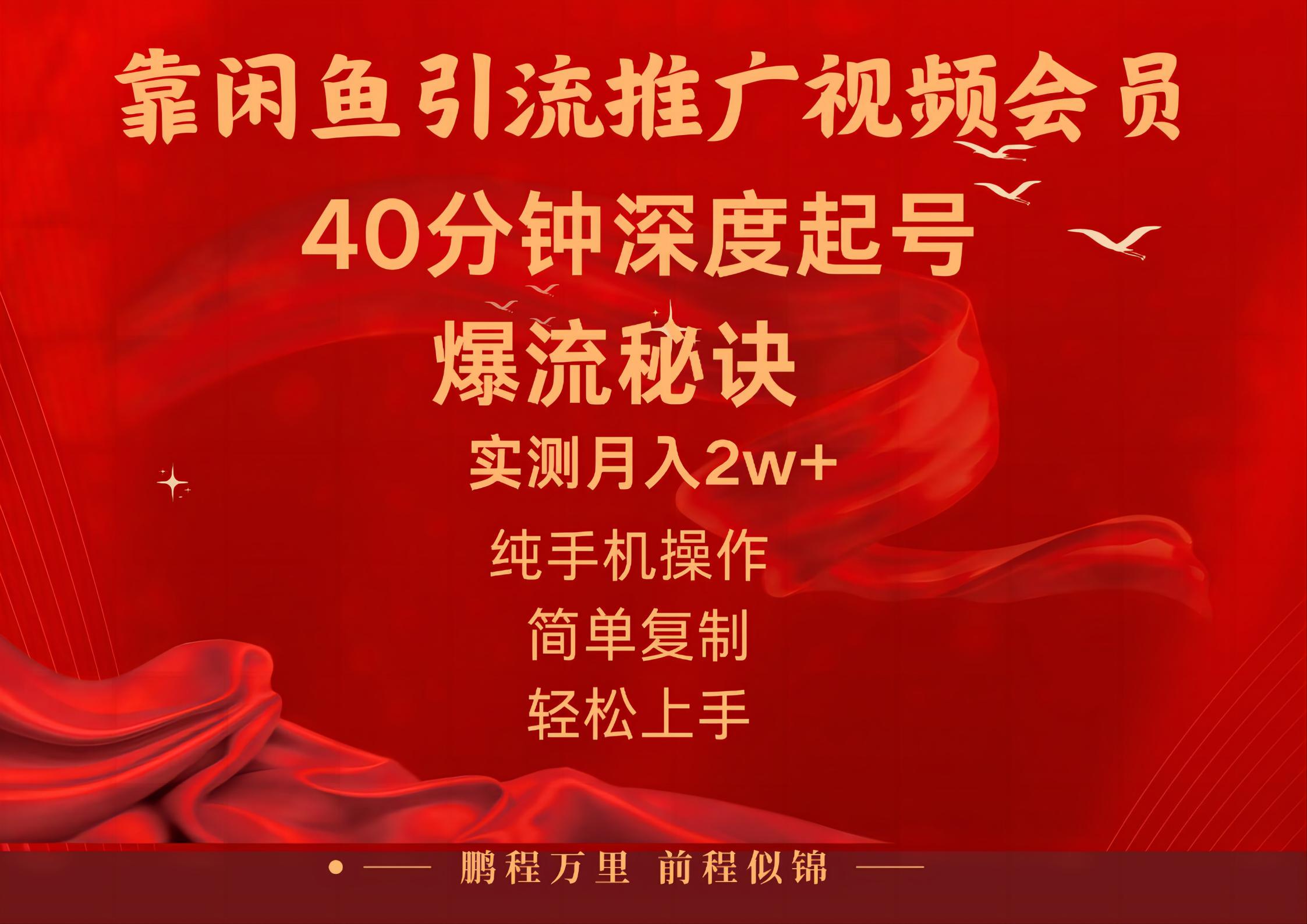 （10896期）闲鱼暴力引流推广视频会员，能做到日入2W+，操作简单-云帆学社