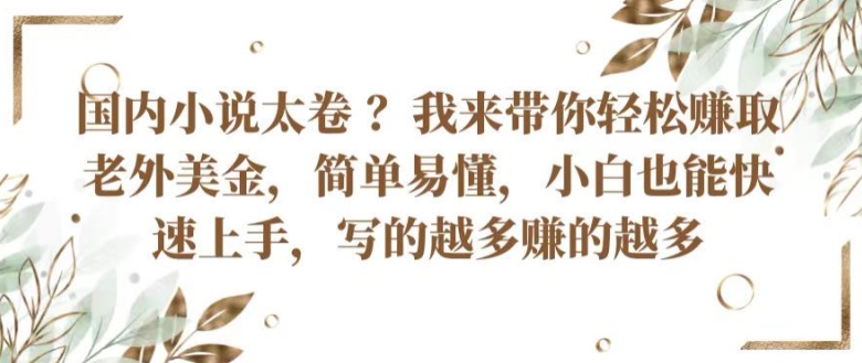 国内小说太卷 ?带你轻松赚取老外美金，简单易懂，小白也能快速上手，写的越多赚的越多-云帆学社