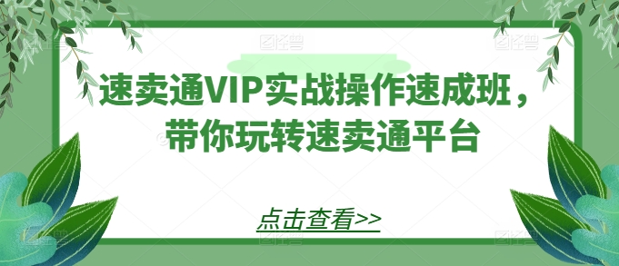 速卖通VIP实战操作速成班，带你玩转速卖通平台-云帆学社