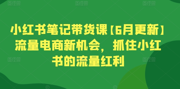 小红书笔记带货课【6月更新】流量电商新机会，抓住小红书的流量红利-云帆学社