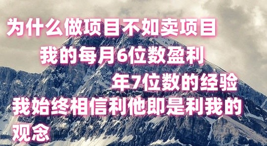 做项目不如卖项目，每月6位数盈利，年7位数经验-云帆学社