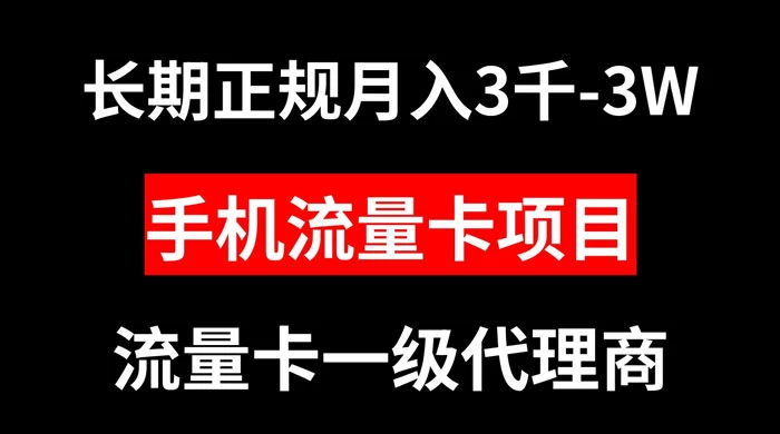 手机流量卡代理月入 3000-3w 长期正规项目-云帆学社