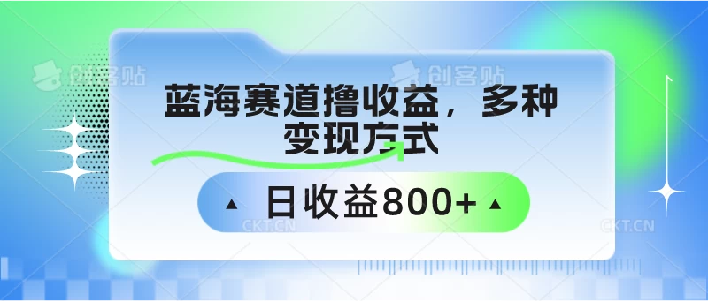 蓝海赛道撸收益，多种变现方式，日收益800+-云帆学社