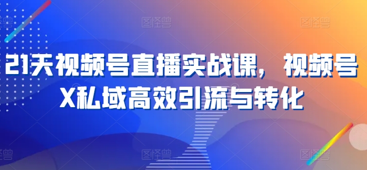 21天视频号直播实战课，视频号X私域高效引流与转化-云帆学社