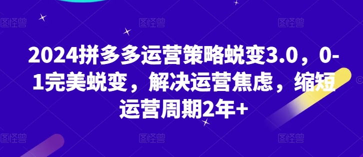 2024拼多多运营策略蜕变3.0，0-1完美蜕变，解决运营焦虑，缩短运营周期2年+-云帆学社