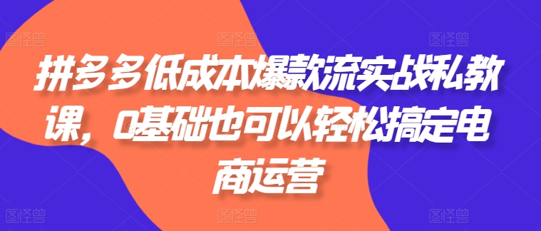 拼多多低成本爆款流实战私教课，0基础也可以轻松搞定电商运营-云帆学社