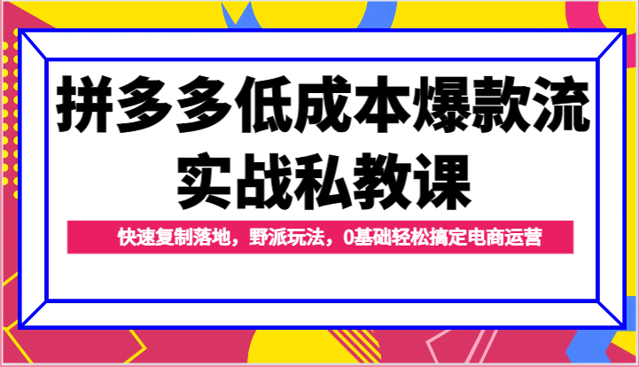 拼多多低成本爆款流实战私教课，快速复制落地，野派玩法，0基础轻松搞定电商运营-云帆学社