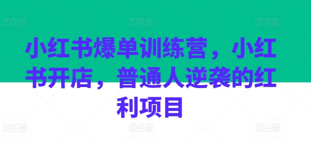 小红书爆单训练营，小红书开店，普通人逆袭的红利项目-云帆学社